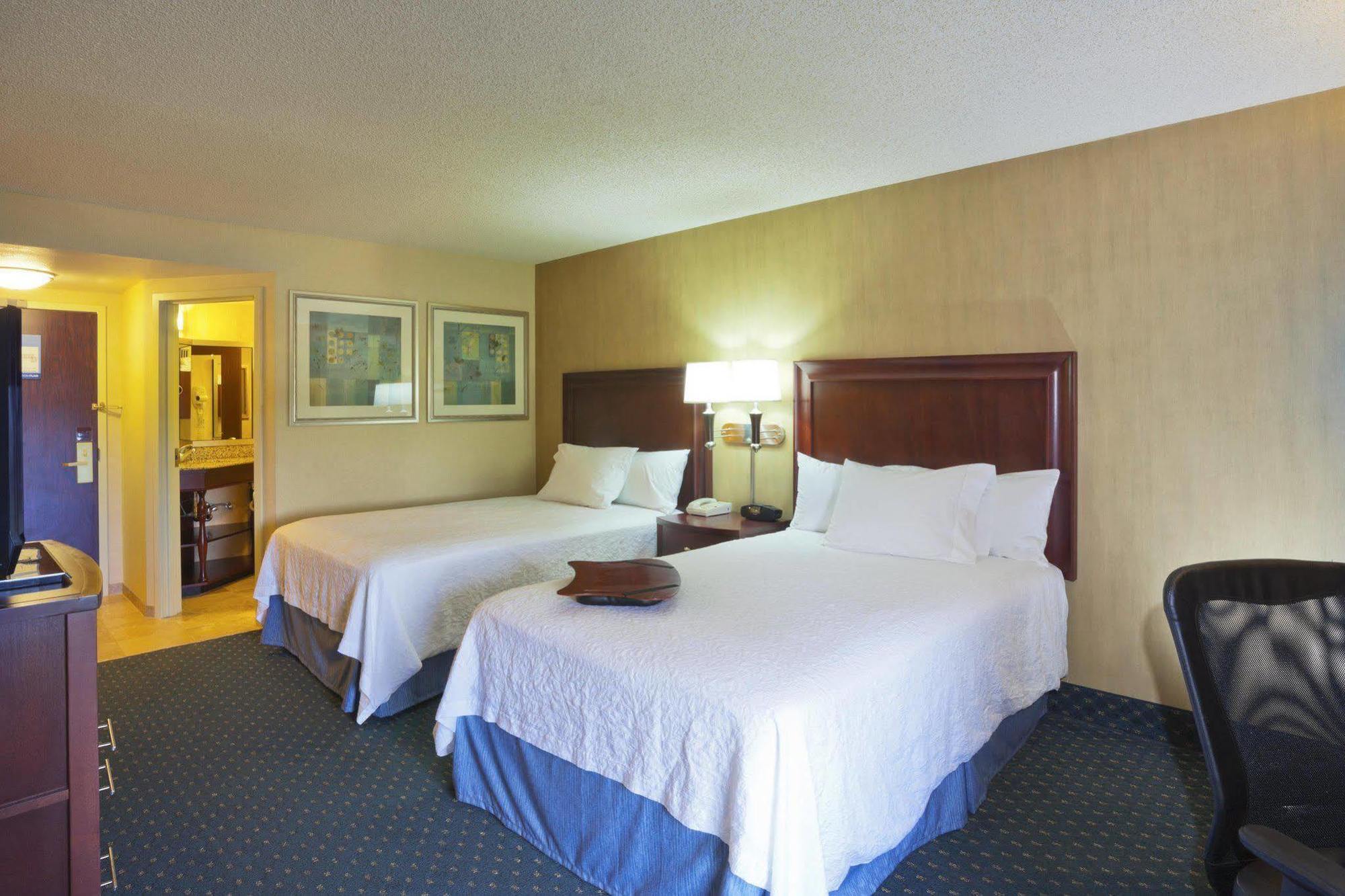 Hampton Inn Seattle Airport SeaTac Værelse billede